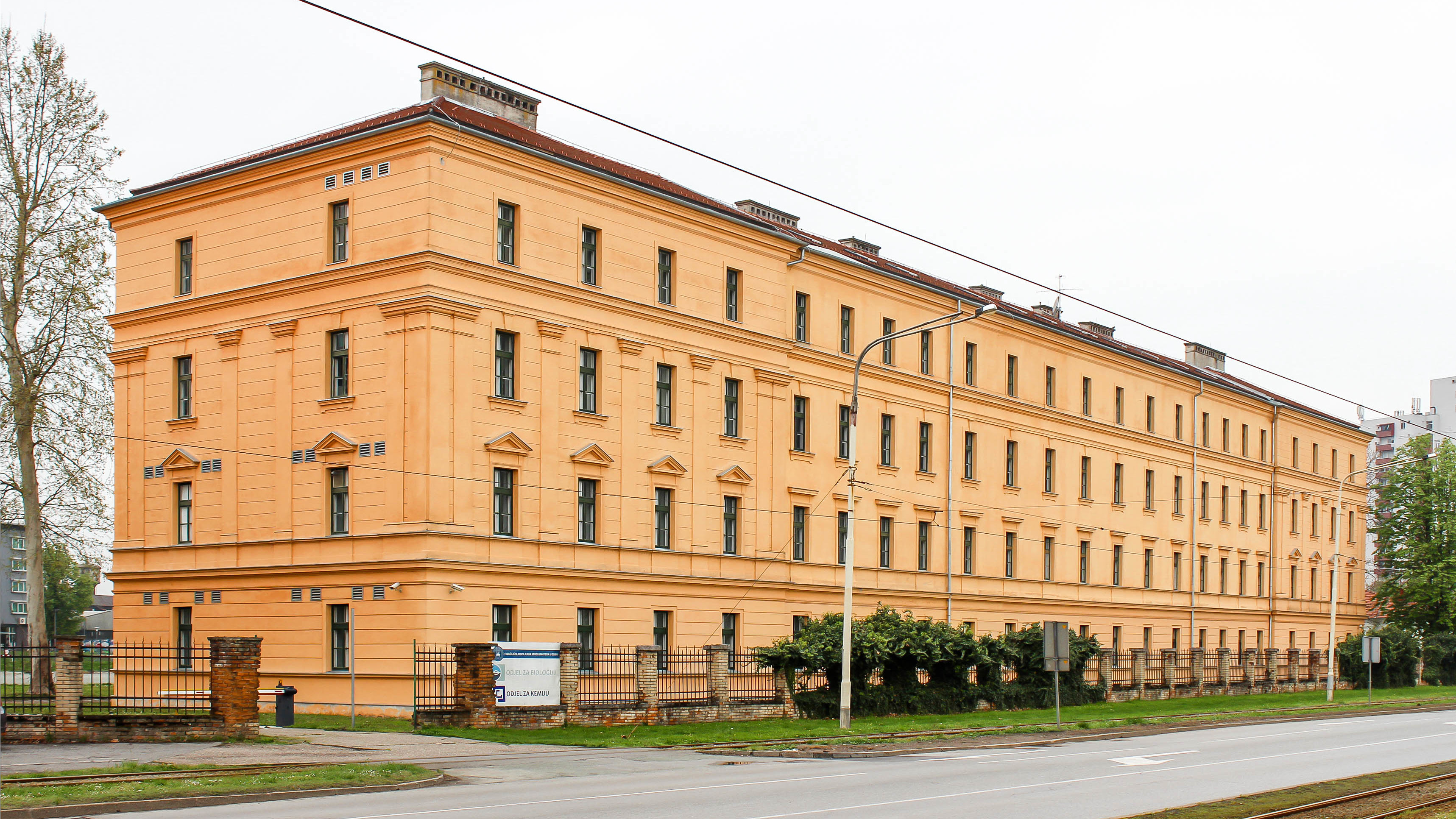 Department of Biology